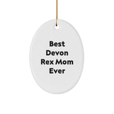 Devon Rex Cat Lover Gifts from Friends, Funny Quote Ornaments, Christmas Oval Decorations, Best Mom Ever, Unique Gifts for Cat Enthusiasts, Gifts from Coworkers - Image 1